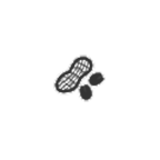 Arachidi