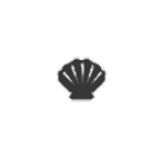 Molluschi