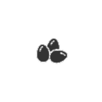 Uova